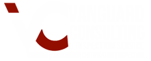 Vanguard Consultant