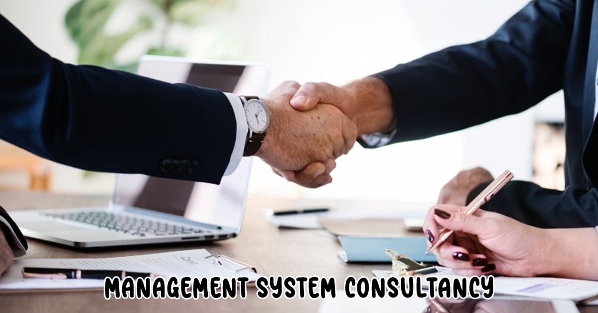 management system consultancy